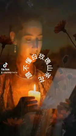 山茶花讀不懂白玫瑰