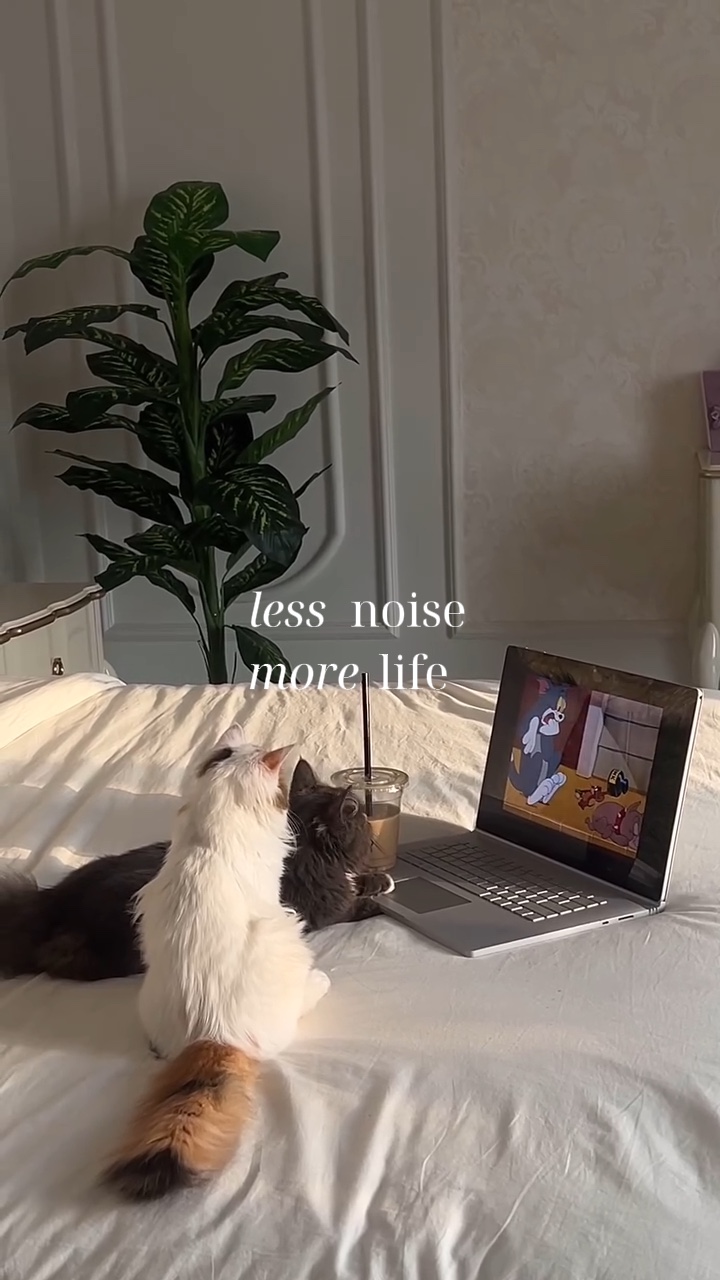 Mini vlog 
