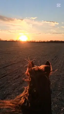 Sunset ride 