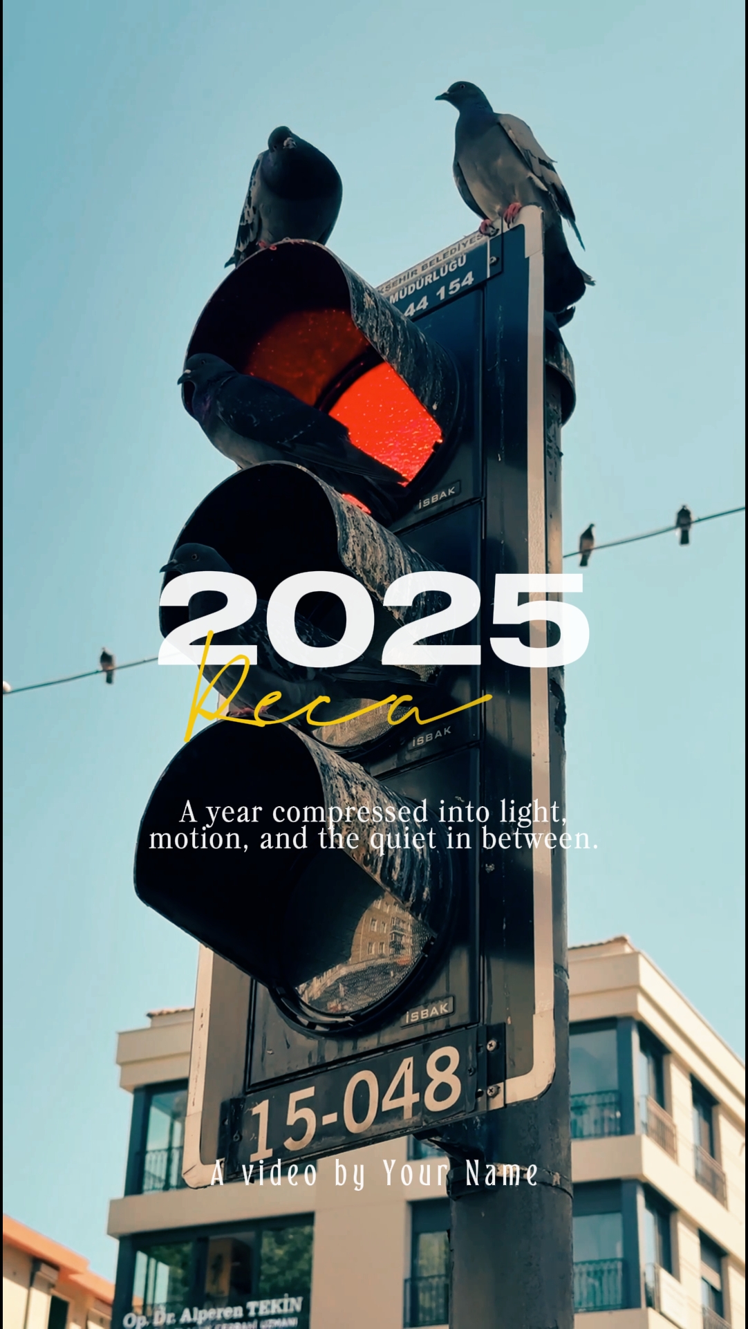 2025 요약