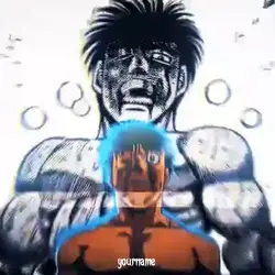 IPPO 