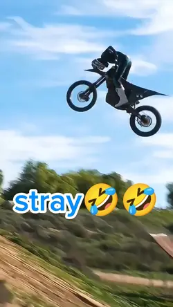stray