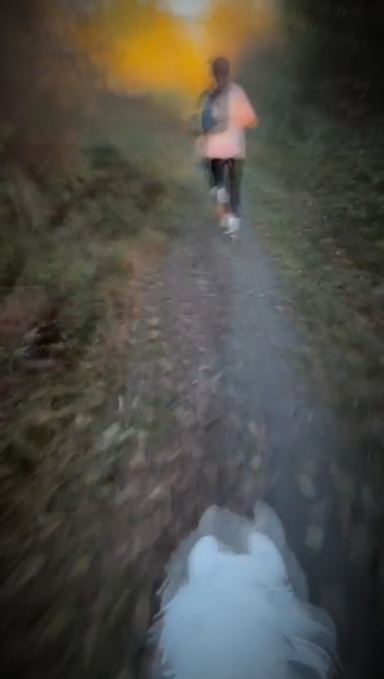 Speed<3
