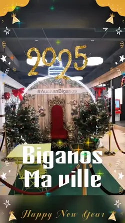 Fêtes de fin d'année