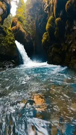 mini vlog