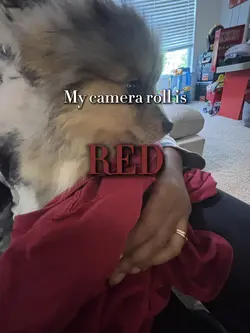 My camera roll is..