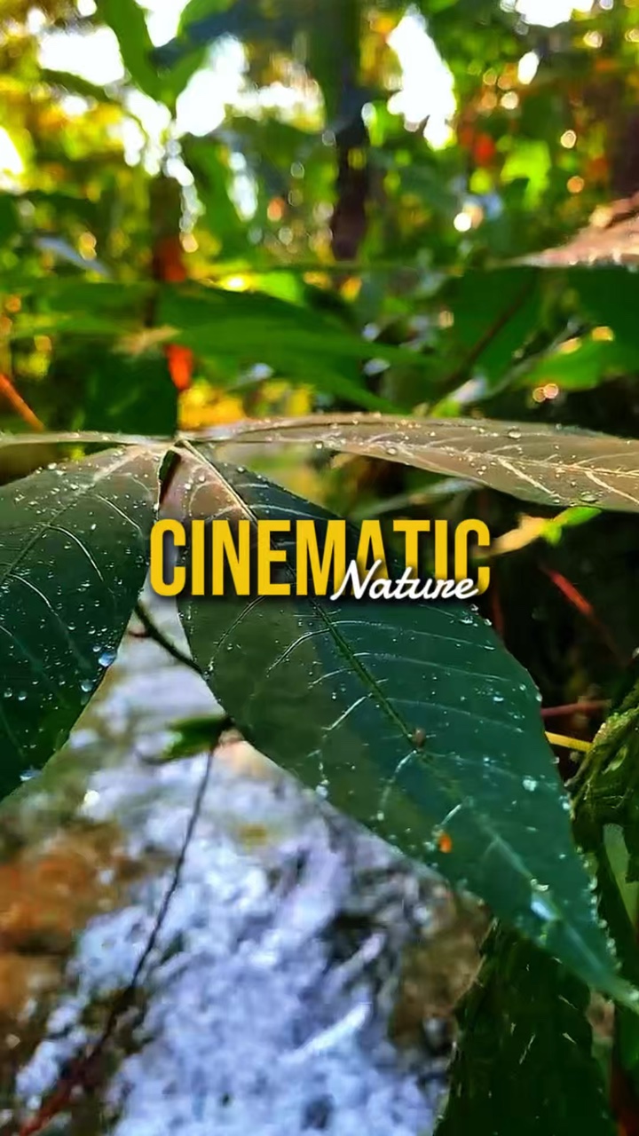 Cinematic Nature