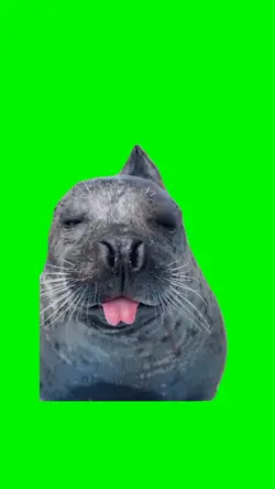 Funny Seal Snotty