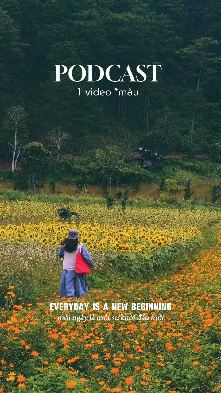 PODCAST 1 Vídeo 