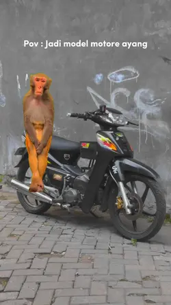 Overlay monyet motor