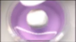 몽글님 동글이 무영공 나눔