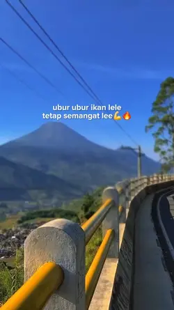 tetap semangat lee