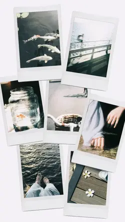Polaroid frame
