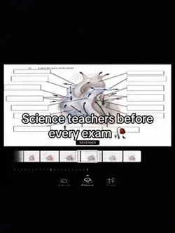 Science Teacher 