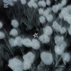 macie ładne osoby?