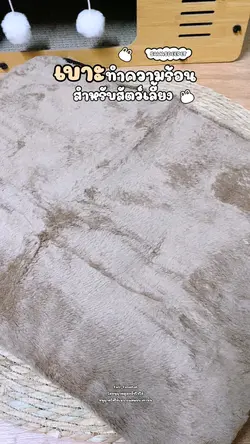 เบาะนอนสัตว์เลี้ยง 🐱💭🫧