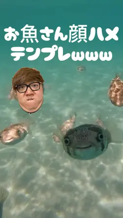 お魚さん顔ハメテンプレwww