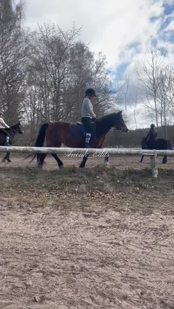 Horse riding