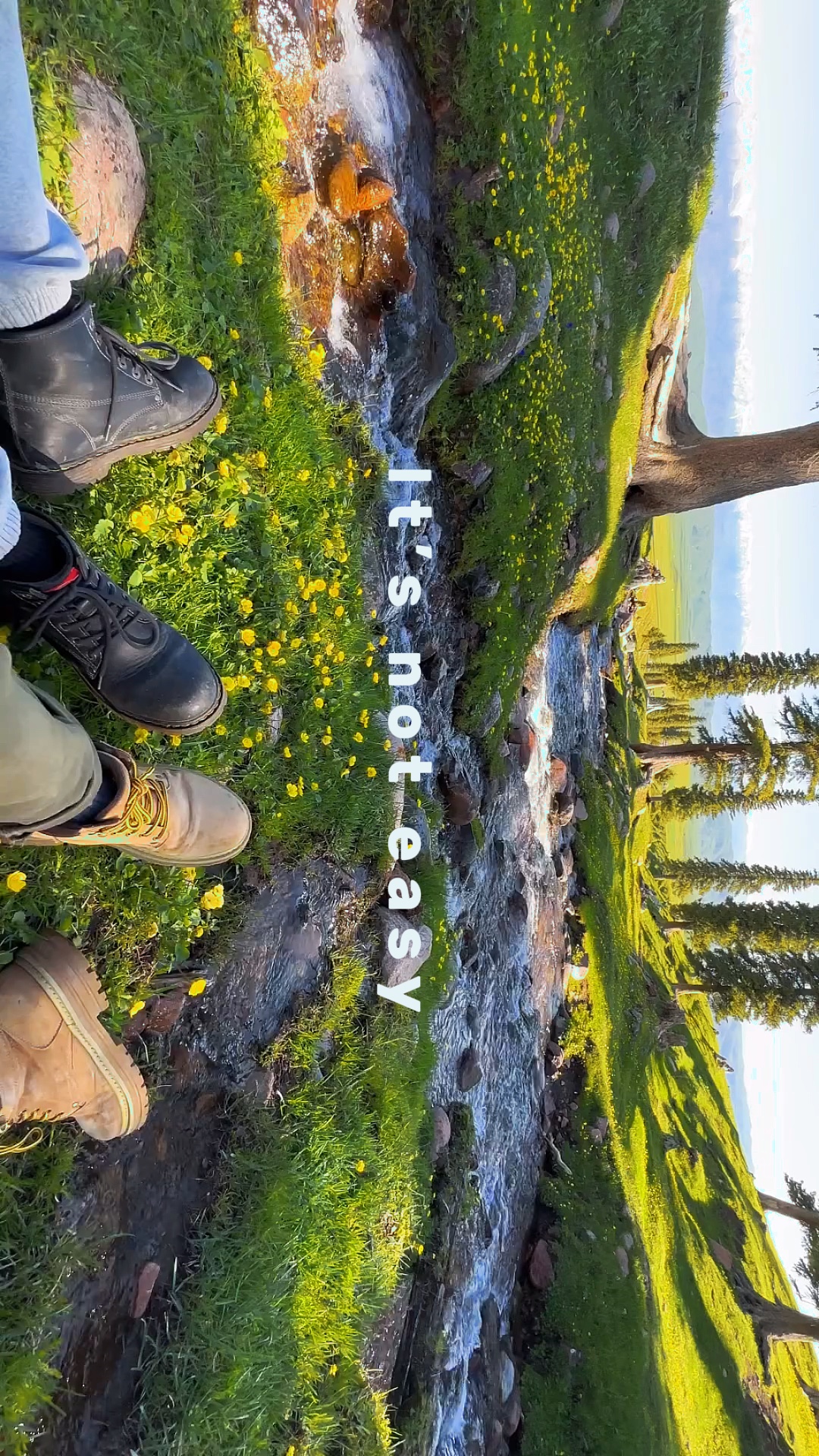 Travel