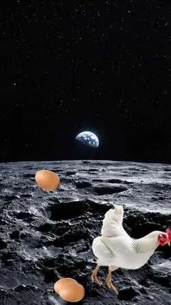 FUNNY HAPPY BIRTHDAY