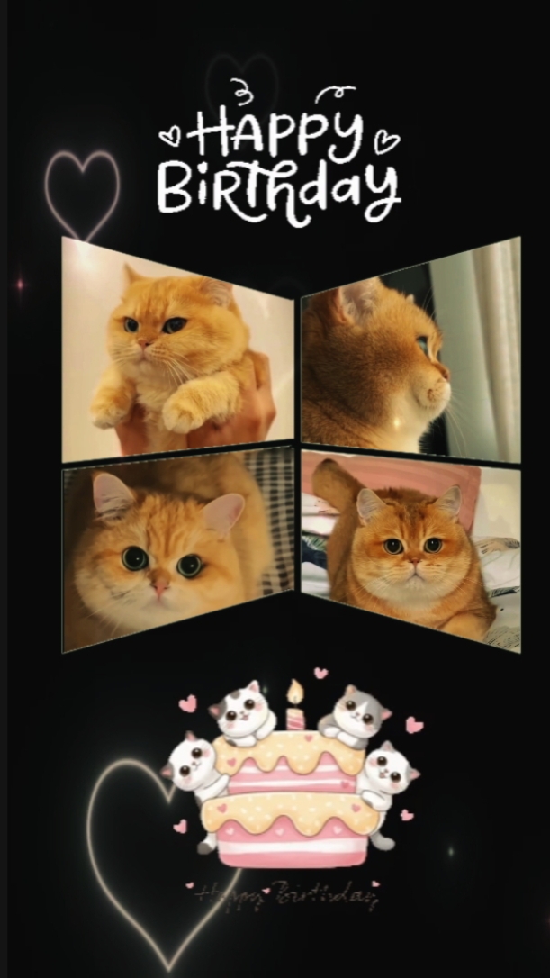 BIRTHDAY CAT