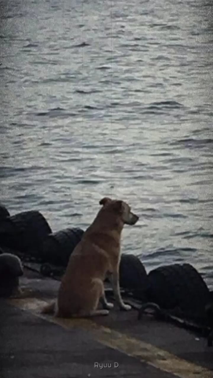 ခွန်အားမျှပါ 