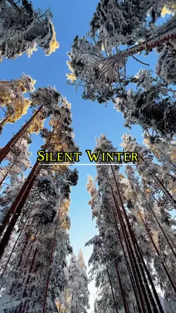 Silent Winter