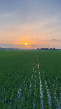 Chuyển cảnh 
