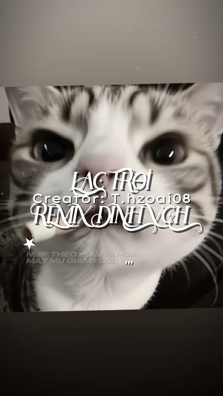 LC TRÔI REMIX 🌷