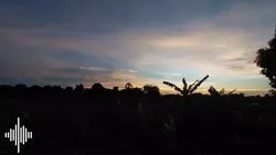 អធិរាជសម្លេងមាស