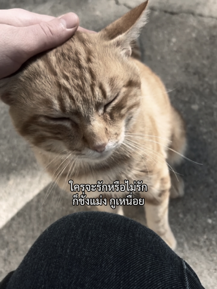 ใครจะรักหรือไม่รัก