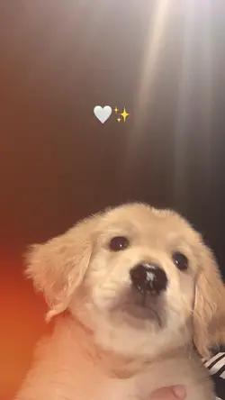 รัก🐶