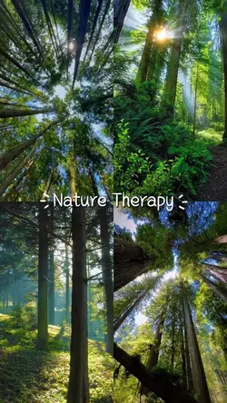 Nature therapy