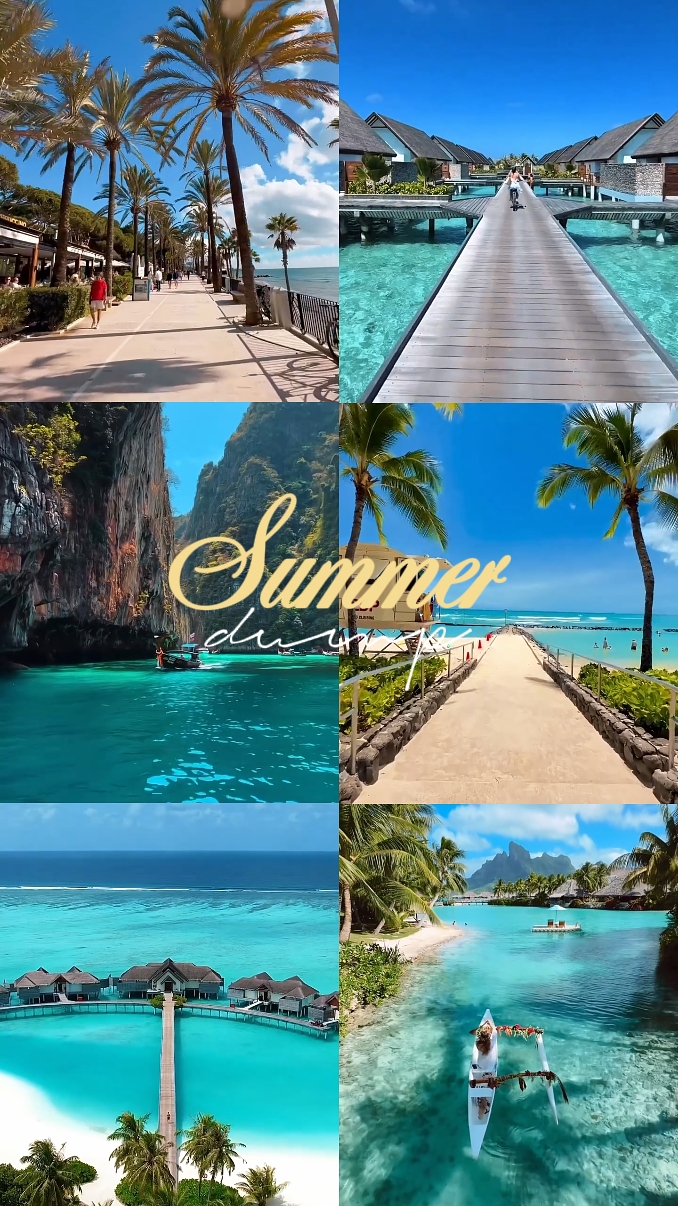 Summer dump