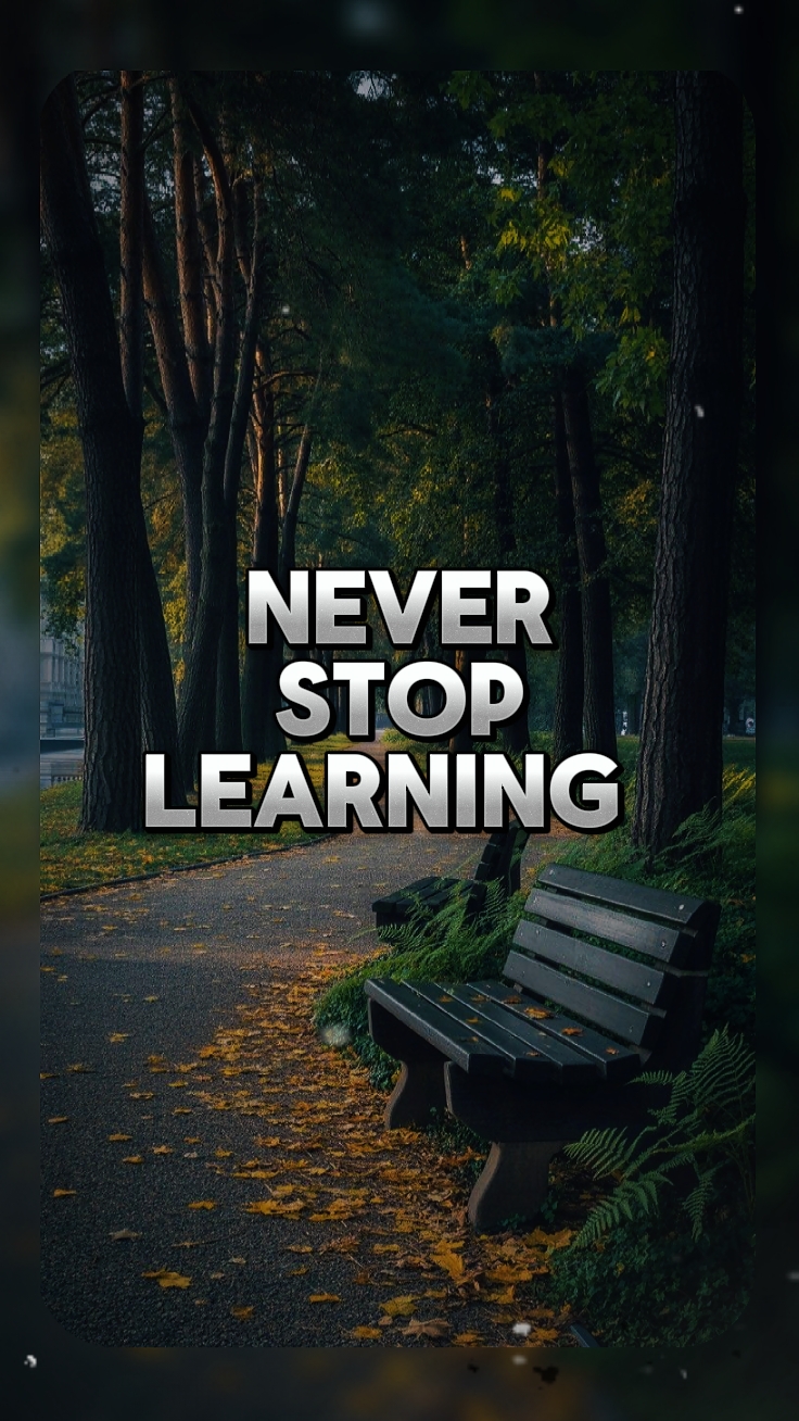 Nunca pare de aprender