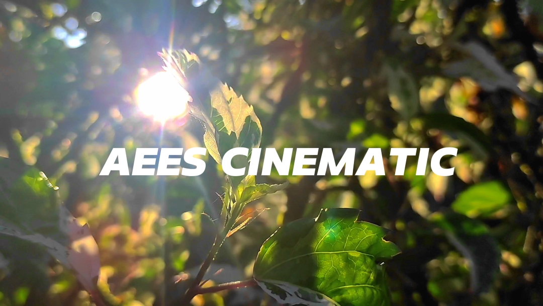 AEES Cinematic