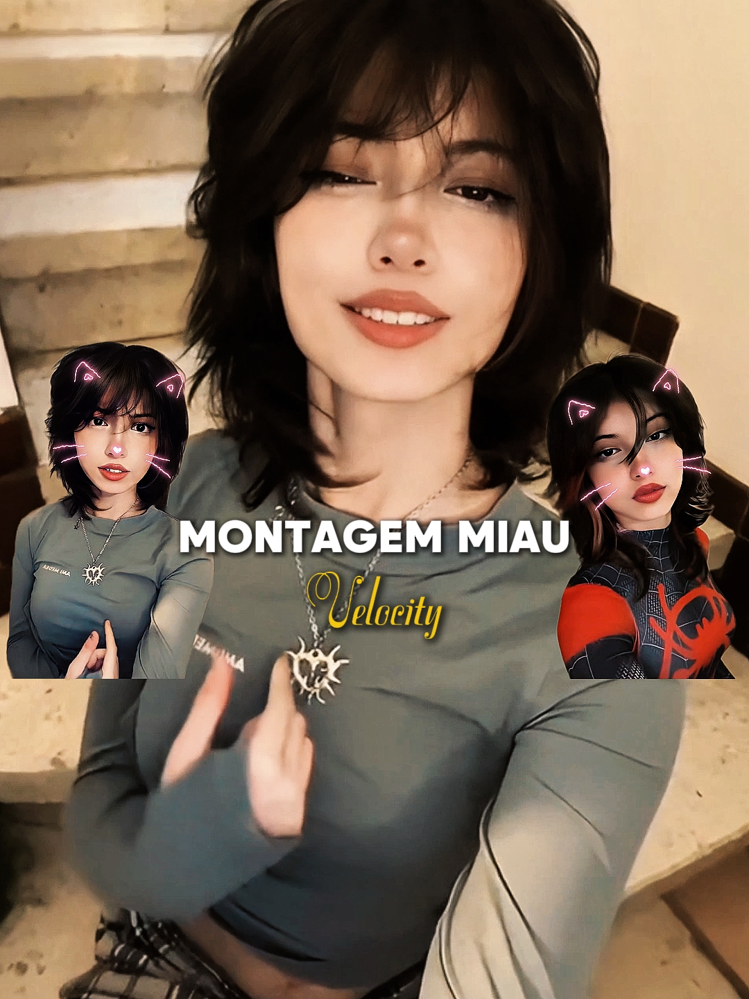MIAU DE MONTAGEM