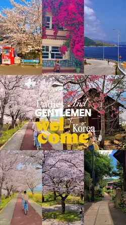 Welcome To Korea