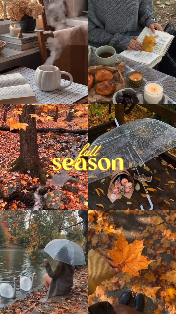 fall season