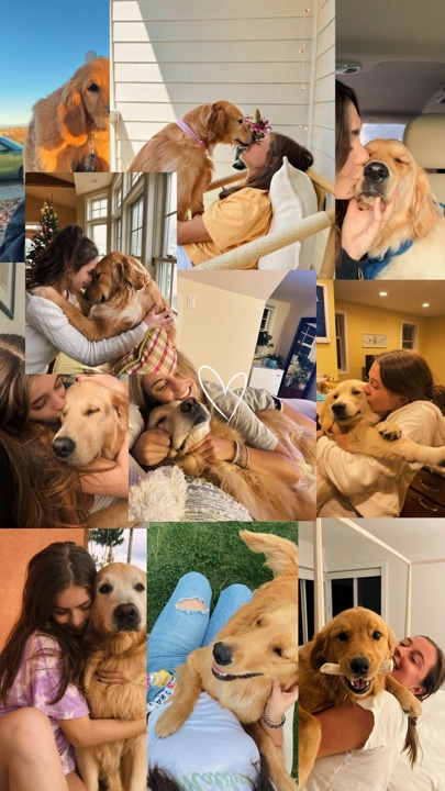 Souvenirs d'animaux 