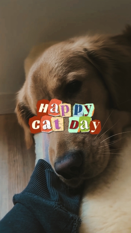 SELAMAT HARI KUCING 