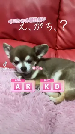 うちはどうなるん？ww