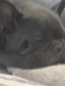 Miss you Harry bo ❤️🕊️