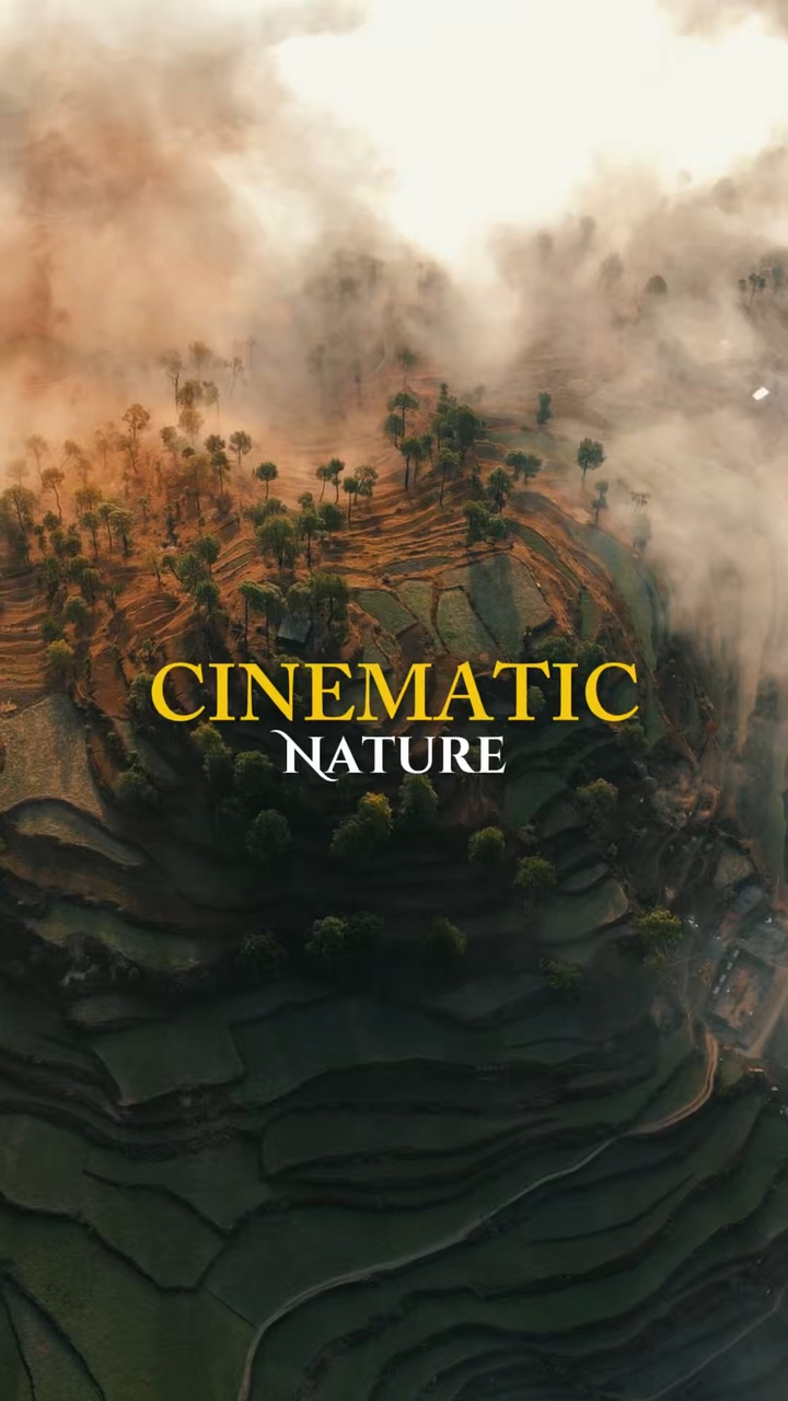 Nature Cinématique