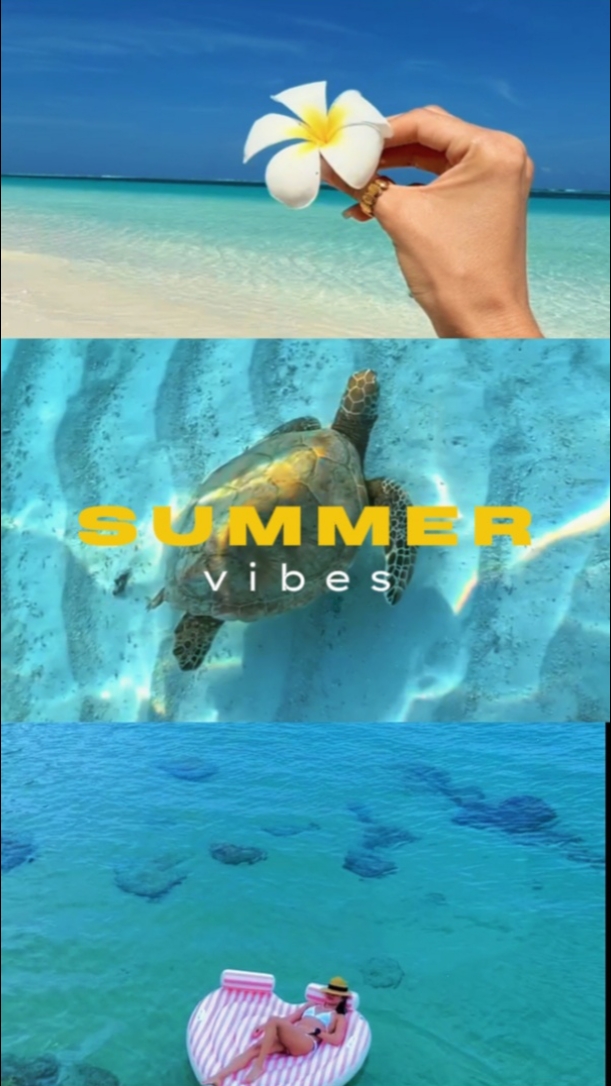 summer vibes 