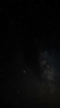 Four-Frame Rose Montage