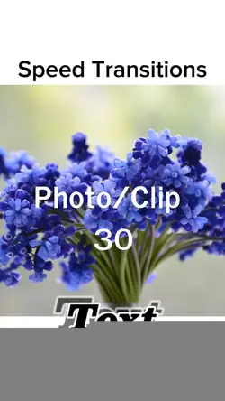 SpeedMotion 30 pic