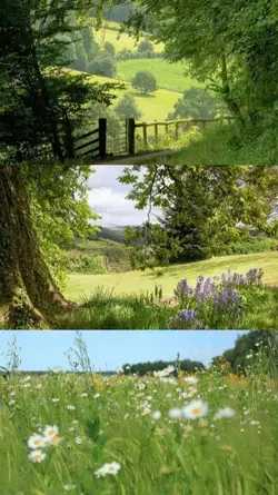 3 pics landscape
