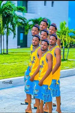 clone spring 