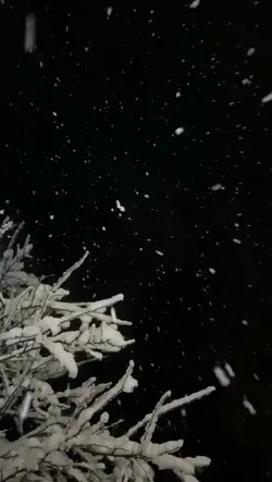 Harika Slowmotion